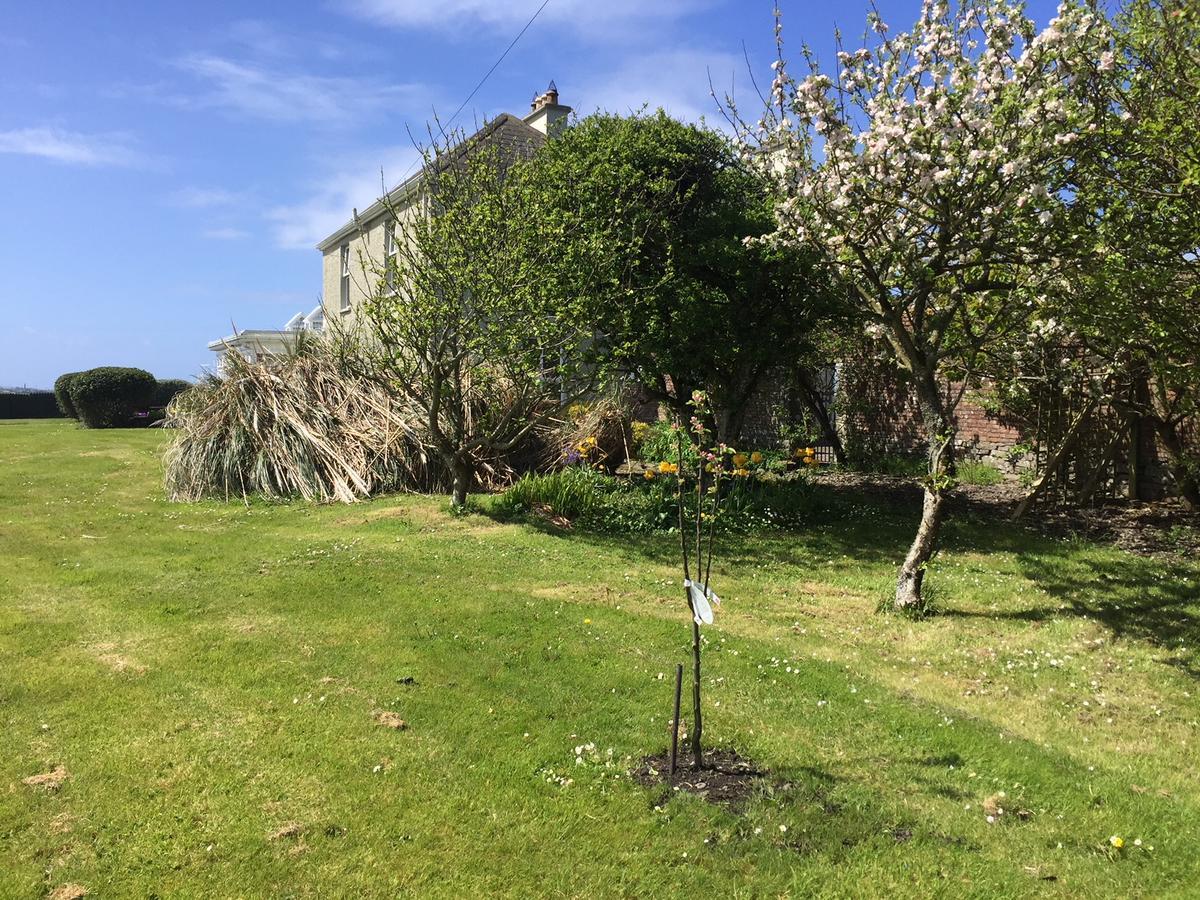 Berry Lodge Country House Spanish Point Esterno foto